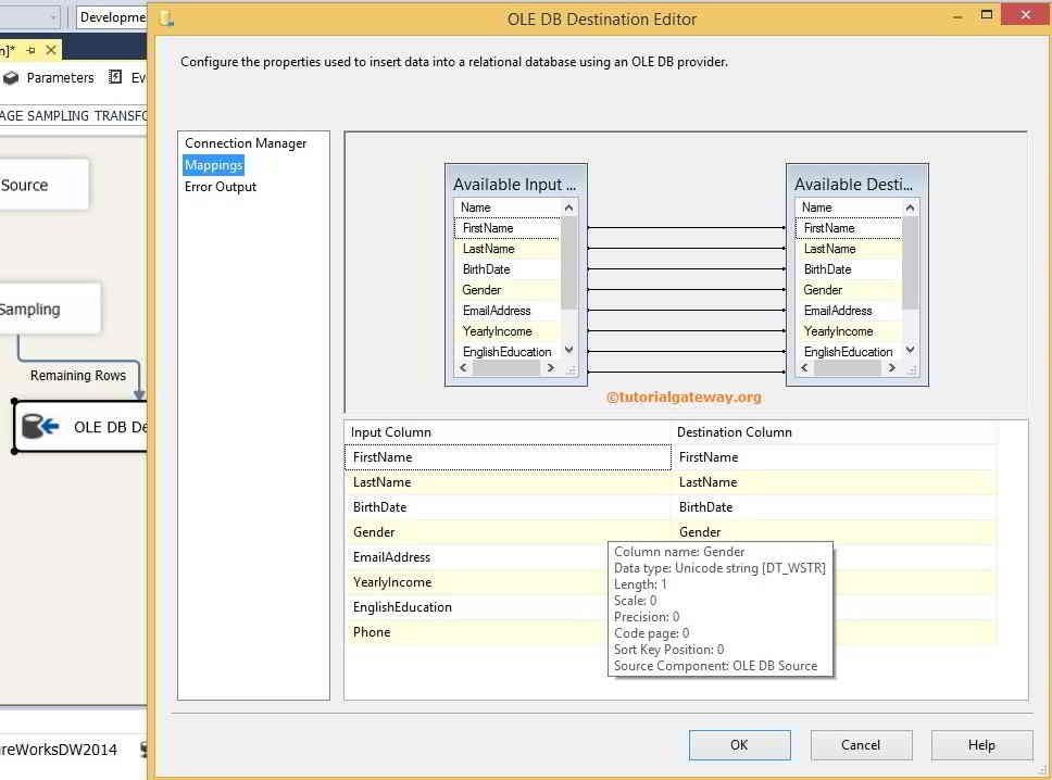 Check Input and Destination Columns Mapping 10