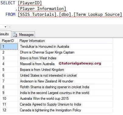 SSIS Term Lookup Transformation Source