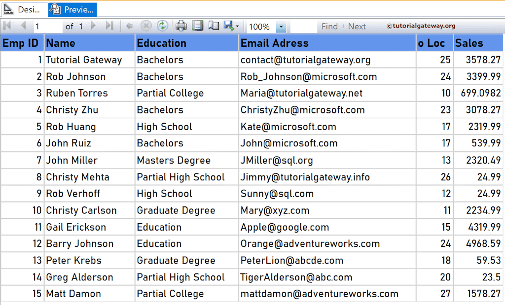SSRS InStrRev Function preview