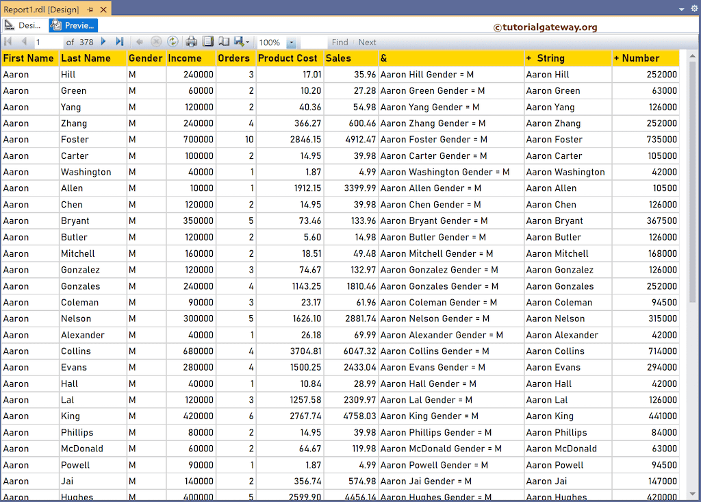 SSRS Concatenation Operators report preview