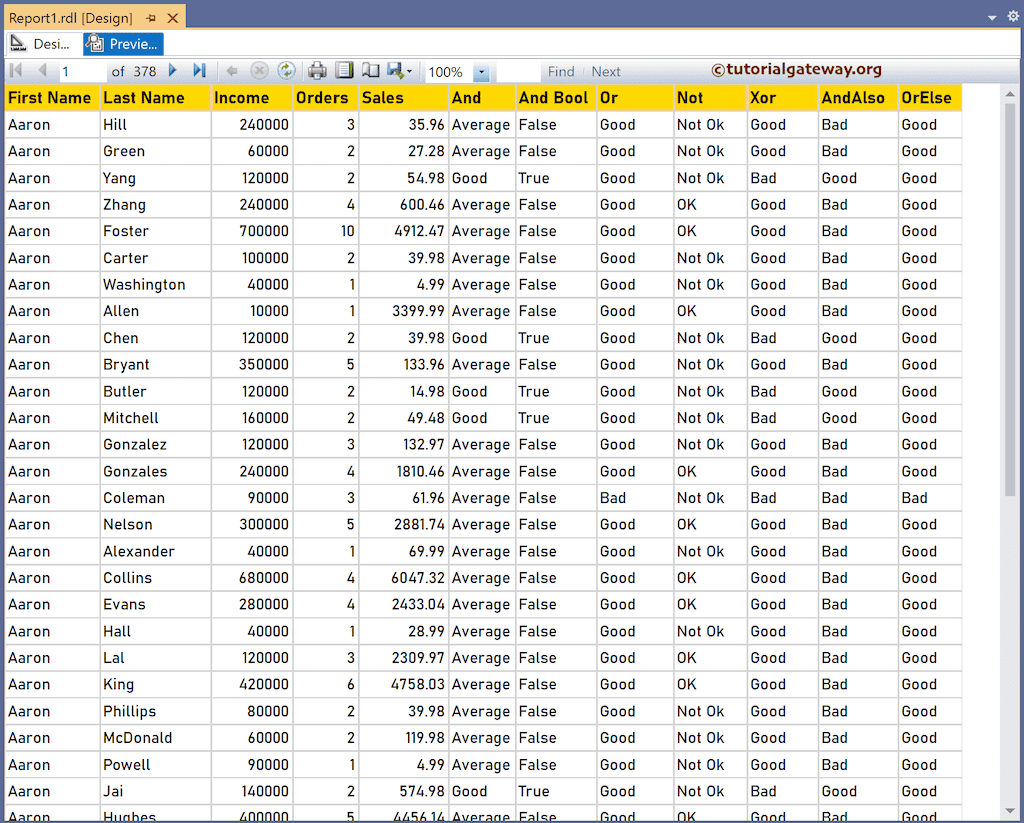 SSRS Logical and Bitwise Operators Report Preview