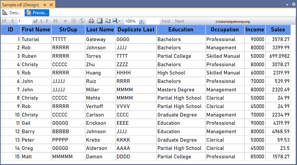 SSRS StrDup Function to duplicate string character report preview