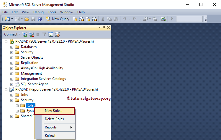 New Security Role in Management Studio