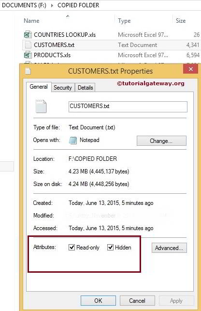 Setting Attributes Using File System Task in SSIS 11