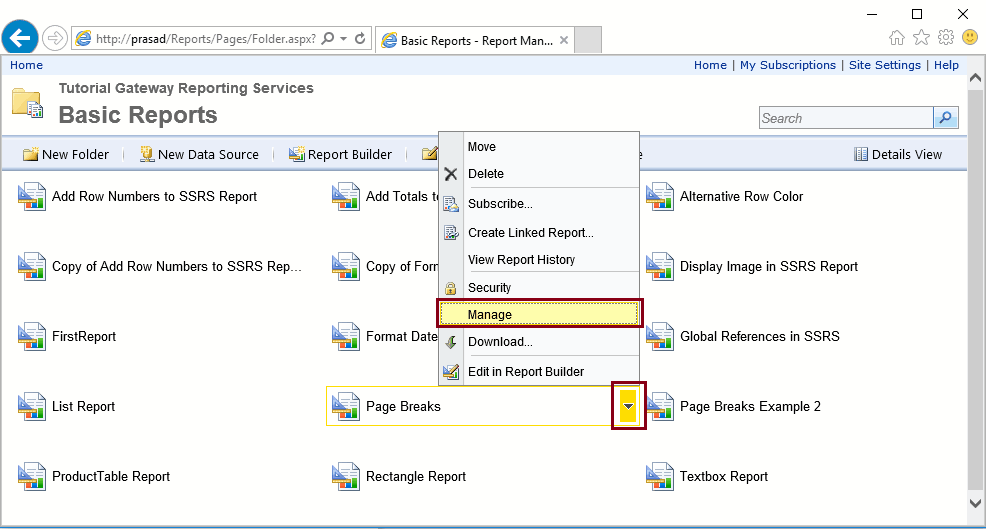 Manage Report Snapshot