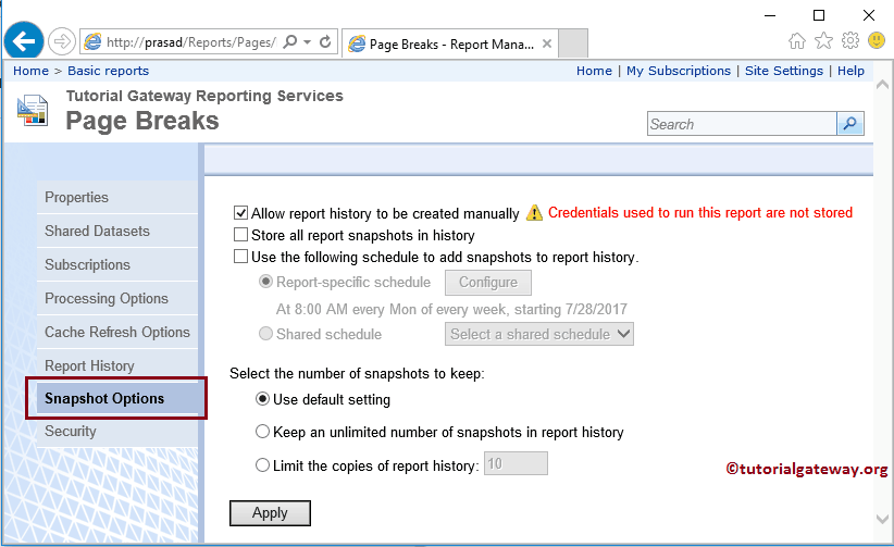 Report Snapshot Options
