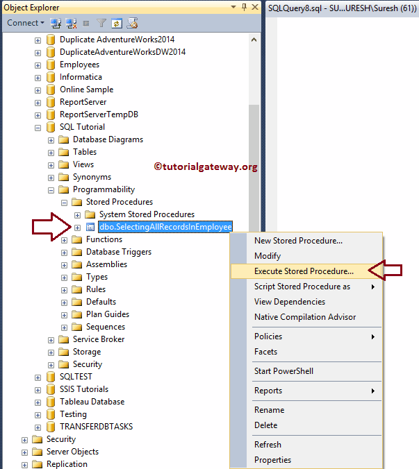 Execute SQL Server Stored Procedure 5