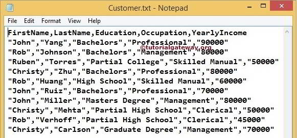 Text Qualifier in SSIS 1