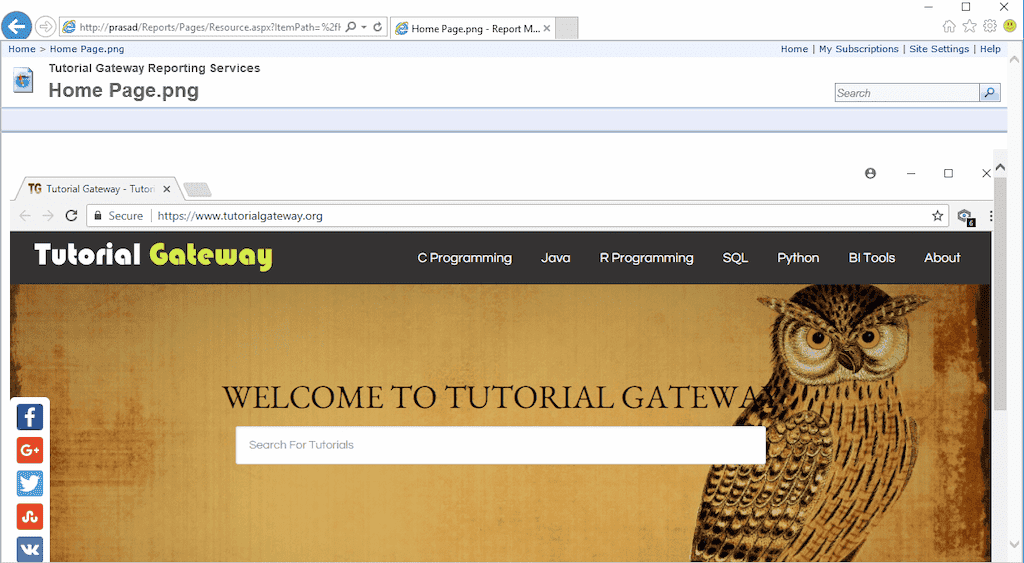 View uploaded homepage png image